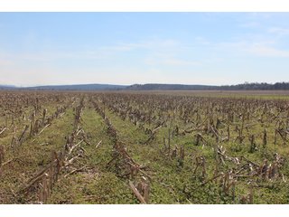 Property photo 39 - REAL ESTATE AUCTION - 1,000+/- ACRES OFFERED IN 10 TRACTS IN PITTSBURG CO., OKLAHOMA