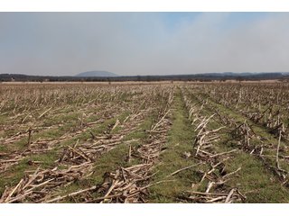 Property photo 43 - REAL ESTATE AUCTION - 1,000+/- ACRES OFFERED IN 10 TRACTS IN PITTSBURG CO., OKLAHOMA