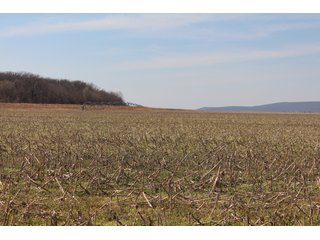 Property photo 41 - REAL ESTATE AUCTION - 1,000+/- ACRES OFFERED IN 10 TRACTS IN PITTSBURG CO., OKLAHOMA