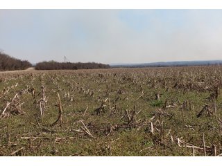 Property photo 42 - REAL ESTATE AUCTION - 1,000+/- ACRES OFFERED IN 10 TRACTS IN PITTSBURG CO., OKLAHOMA