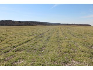 Property photo 55 - REAL ESTATE AUCTION - 1,000+/- ACRES OFFERED IN 10 TRACTS IN PITTSBURG CO., OKLAHOMA