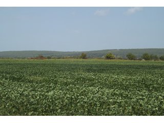 Property photo 25 - REAL ESTATE AUCTION - 1,000+/- ACRES OFFERED IN 10 TRACTS IN PITTSBURG CO., OKLAHOMA