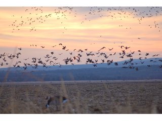 Property photo 7 - REAL ESTATE AUCTION - 1,000+/- ACRES OFFERED IN 10 TRACTS IN PITTSBURG CO., OKLAHOMA