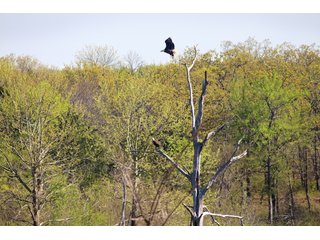 Property photo 59 - REAL ESTATE AUCTION - 1,000+/- ACRES OFFERED IN 10 TRACTS IN PITTSBURG CO., OKLAHOMA