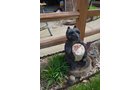 Property photo 45 - PERSONAL PROPERTY AUCTION IN ALLEN COUNTY, INDIANA