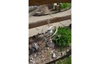 Property photo 52 - PERSONAL PROPERTY AUCTION IN ALLEN COUNTY, INDIANA