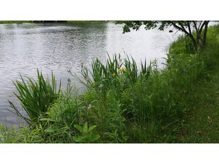Property photo 26 - LAND AUCTION - 429+/- ACRES OFFERED IN 6 TRACTS IN PREBLE COUNTY, OHIO