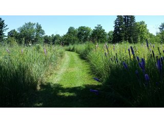 Property photo 29 - LAND AUCTION - 429+/- ACRES OFFERED IN 6 TRACTS IN PREBLE COUNTY, OHIO