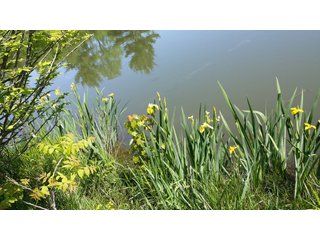 Property photo 27 - LAND AUCTION - 429+/- ACRES OFFERED IN 6 TRACTS IN PREBLE COUNTY, OHIO