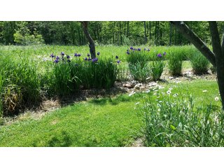 Property photo 30 - LAND AUCTION - 429+/- ACRES OFFERED IN 6 TRACTS IN PREBLE COUNTY, OHIO