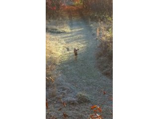 Property photo 31 - LAND AUCTION - 429+/- ACRES OFFERED IN 6 TRACTS IN PREBLE COUNTY, OHIO