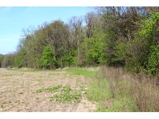 Property photo 3 - REAL ESTATE AUCTION - 77+/- ACRES OFFERED IN 1 TRACT IN KOSCIUSKO COUNTY, INDIANA