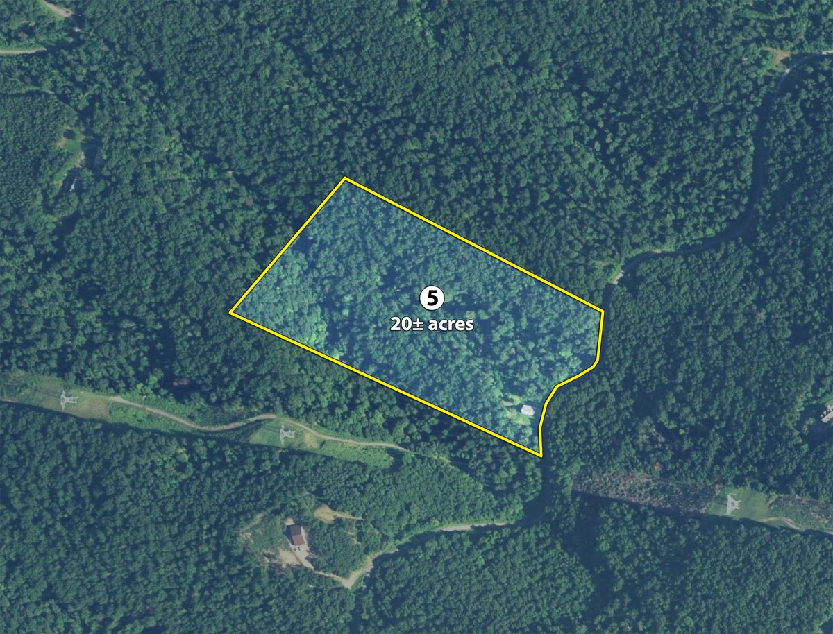 Tract 5 - LAND AUCTION - 533+/- ACRES OFFERED IN 5 TRACTS IN HARDY COUNTY, WEST VIRGINIA
