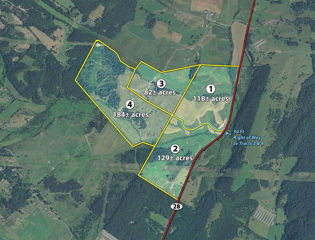 Tracts 1-4 - LAND AUCTION - 533+/- ACRES OFFERED IN 5 TRACTS IN HARDY COUNTY, WEST VIRGINIA