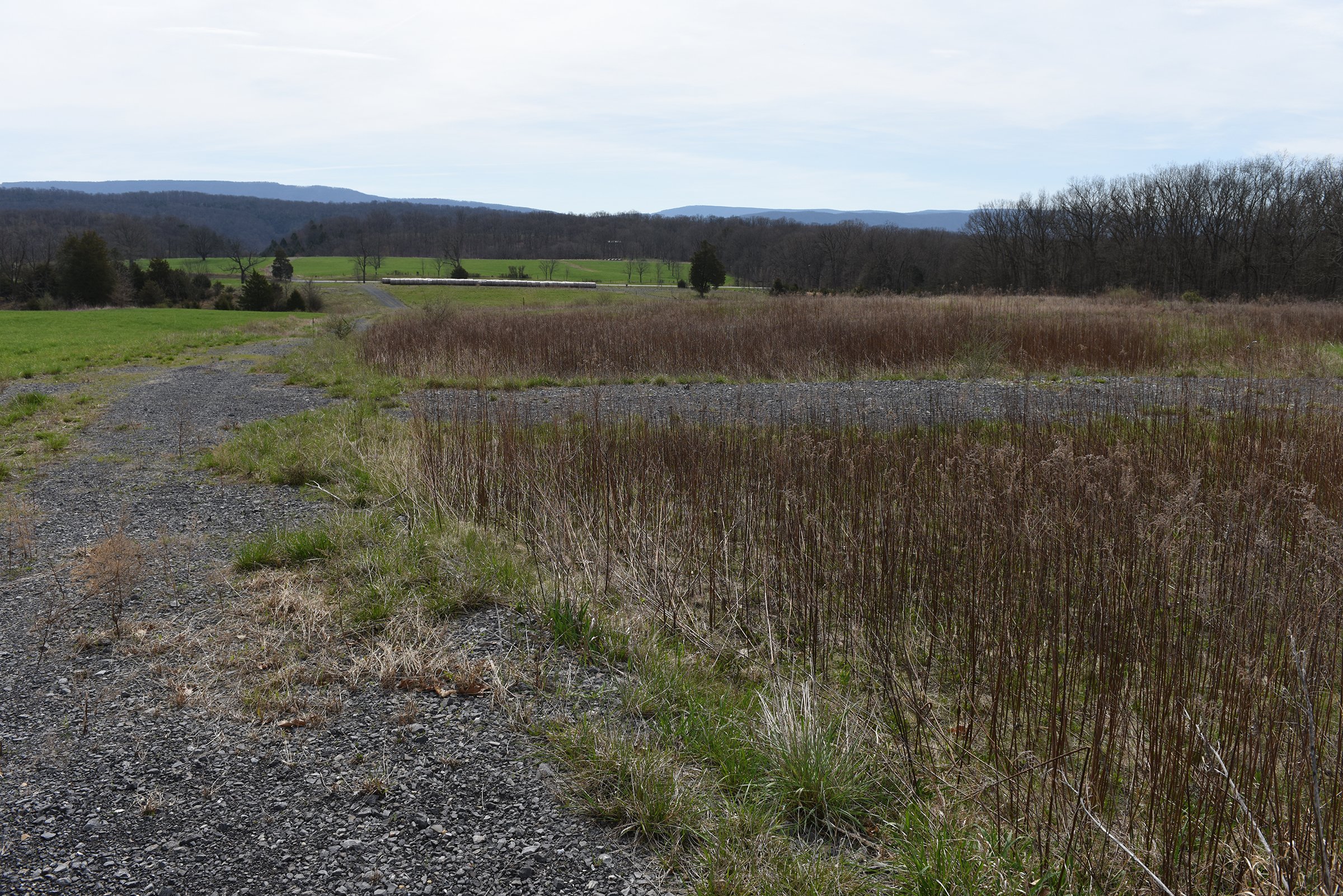 Property photo 74 - LAND AUCTION - 533+/- ACRES OFFERED IN 5 TRACTS IN HARDY COUNTY, WEST VIRGINIA