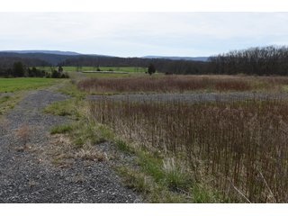 Property photo 74 - LAND AUCTION - 533+/- ACRES OFFERED IN 5 TRACTS IN HARDY COUNTY, WEST VIRGINIA