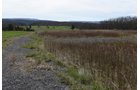 Property photo 74 - LAND AUCTION - 533+/- ACRES OFFERED IN 5 TRACTS IN HARDY COUNTY, WEST VIRGINIA