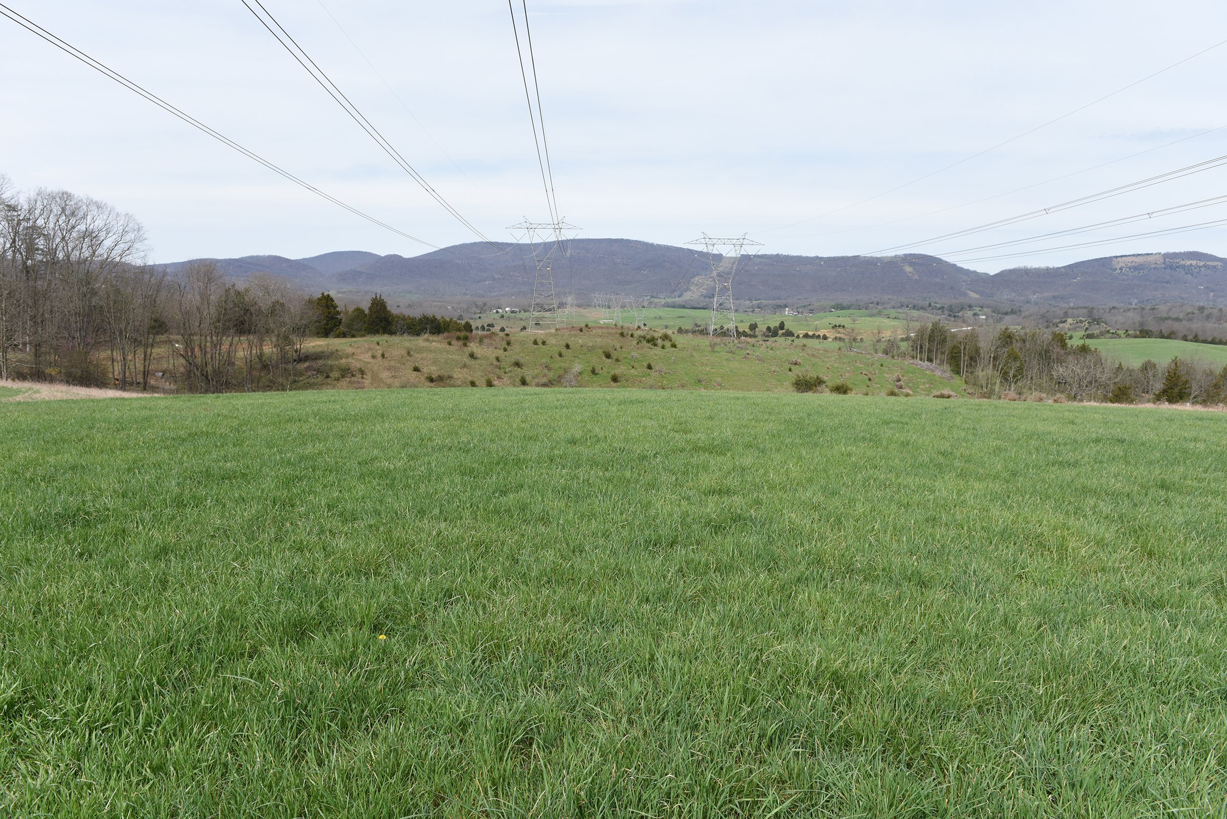 Property photo 61 - LAND AUCTION - 533+/- ACRES OFFERED IN 5 TRACTS IN HARDY COUNTY, WEST VIRGINIA