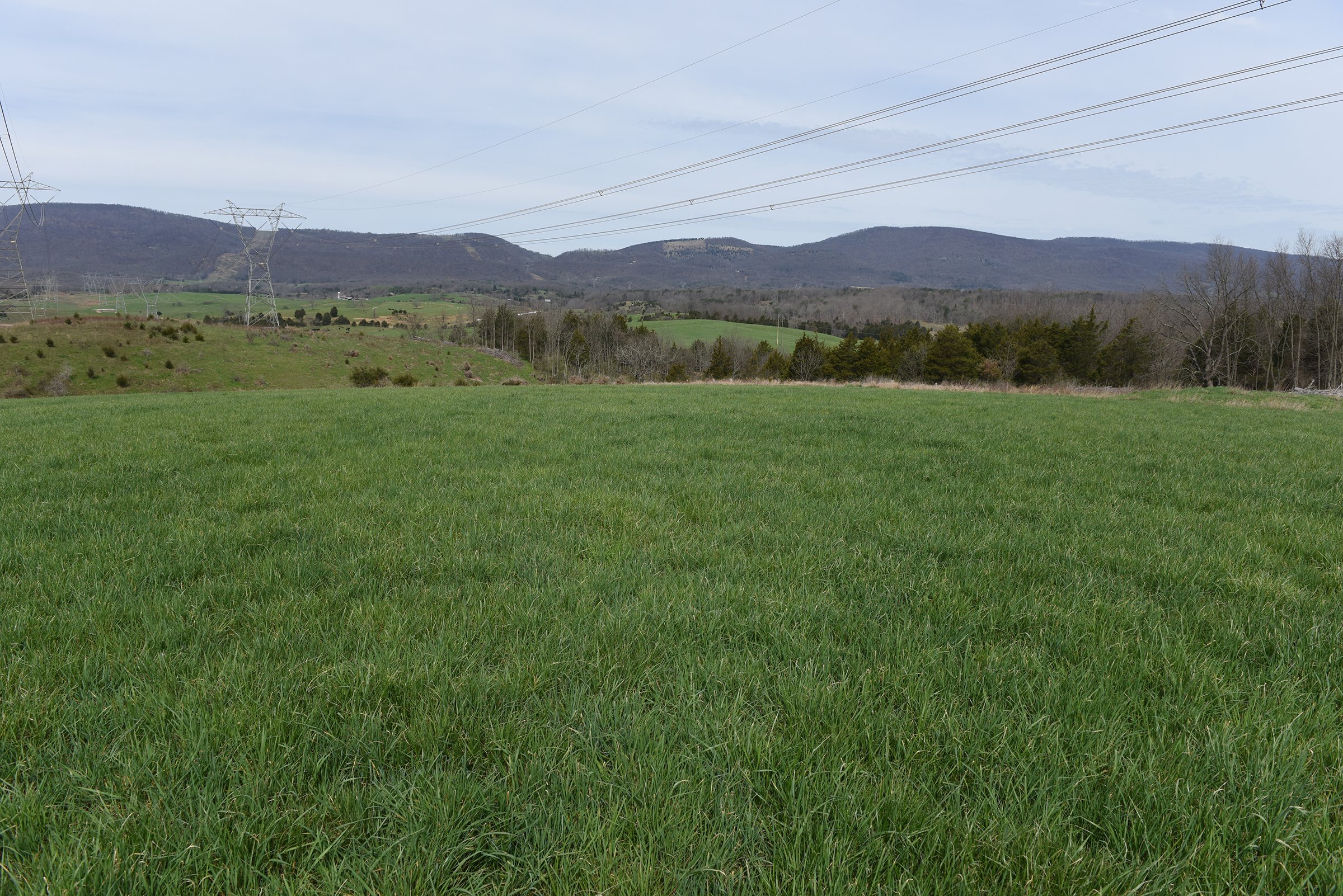 Property photo 54 - LAND AUCTION - 533+/- ACRES OFFERED IN 5 TRACTS IN HARDY COUNTY, WEST VIRGINIA