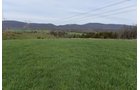 Property photo 54 - LAND AUCTION - 533+/- ACRES OFFERED IN 5 TRACTS IN HARDY COUNTY, WEST VIRGINIA
