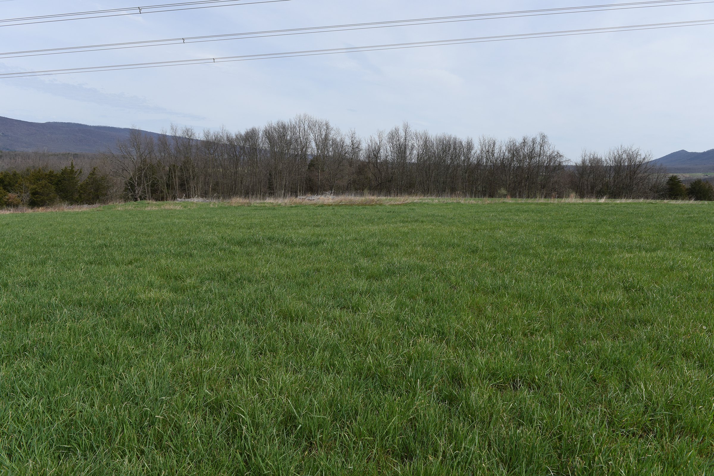 Property photo 62 - LAND AUCTION - 533+/- ACRES OFFERED IN 5 TRACTS IN HARDY COUNTY, WEST VIRGINIA