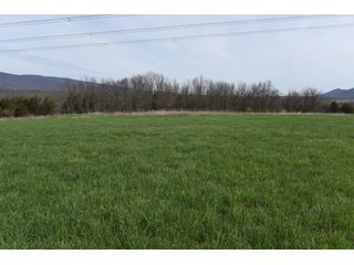 Property photo 62 - LAND AUCTION - 533+/- ACRES OFFERED IN 5 TRACTS IN HARDY COUNTY, WEST VIRGINIA