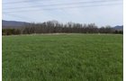 Property photo 62 - LAND AUCTION - 533+/- ACRES OFFERED IN 5 TRACTS IN HARDY COUNTY, WEST VIRGINIA