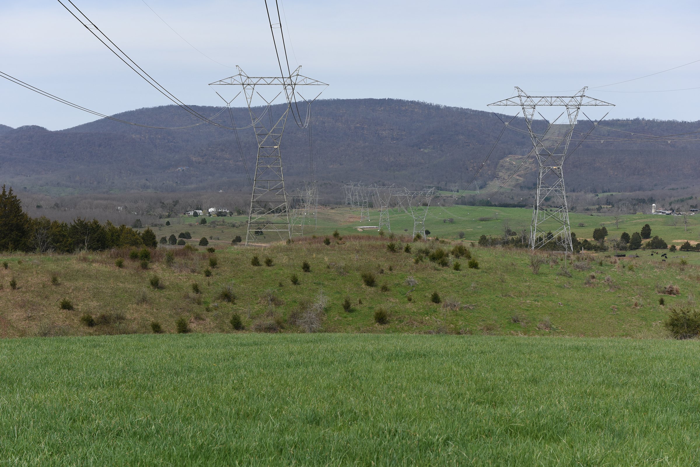 Property photo 52 - LAND AUCTION - 533+/- ACRES OFFERED IN 5 TRACTS IN HARDY COUNTY, WEST VIRGINIA