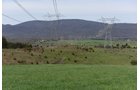 Property photo 52 - LAND AUCTION - 533+/- ACRES OFFERED IN 5 TRACTS IN HARDY COUNTY, WEST VIRGINIA