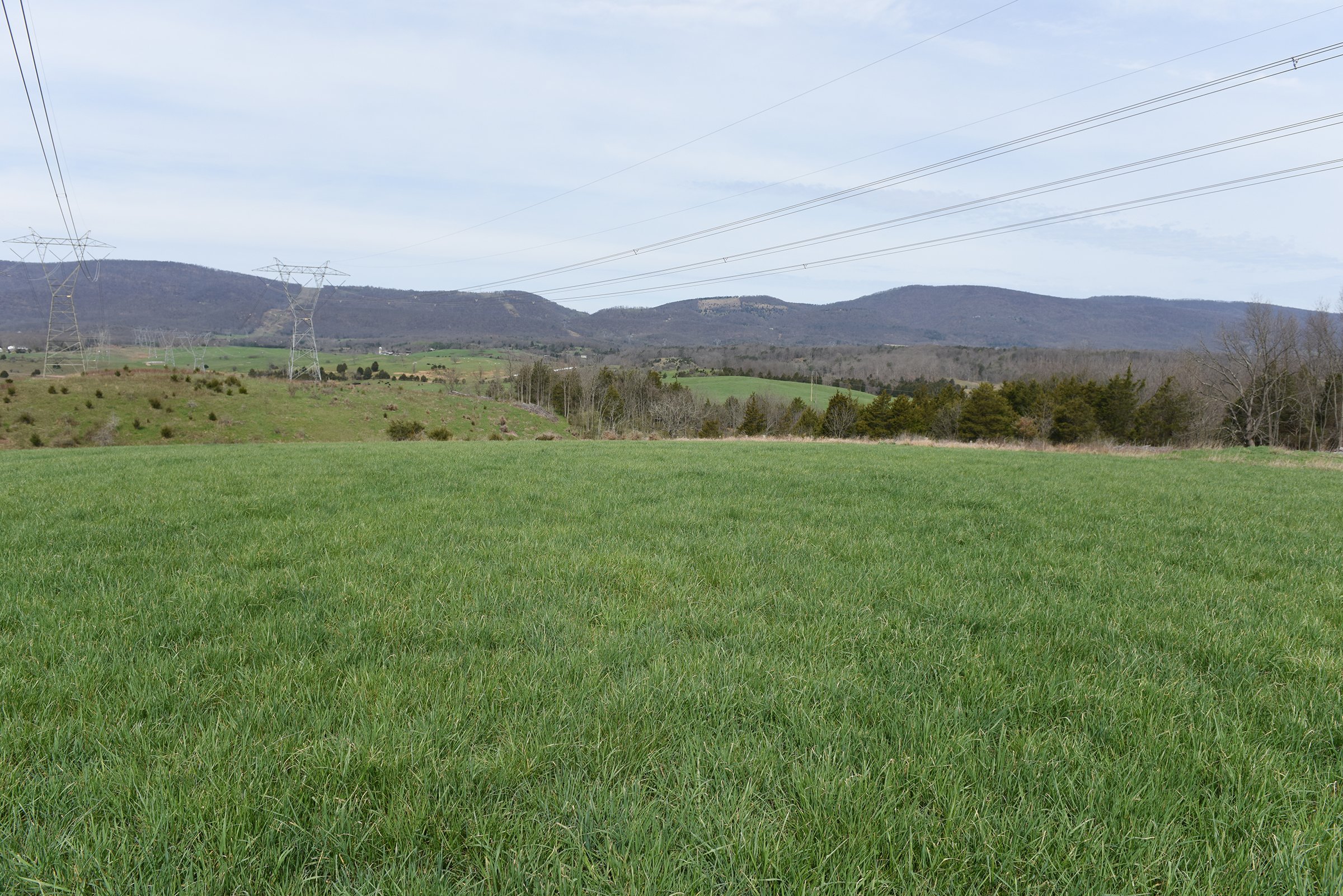Property photo 43 - LAND AUCTION - 533+/- ACRES OFFERED IN 5 TRACTS IN HARDY COUNTY, WEST VIRGINIA