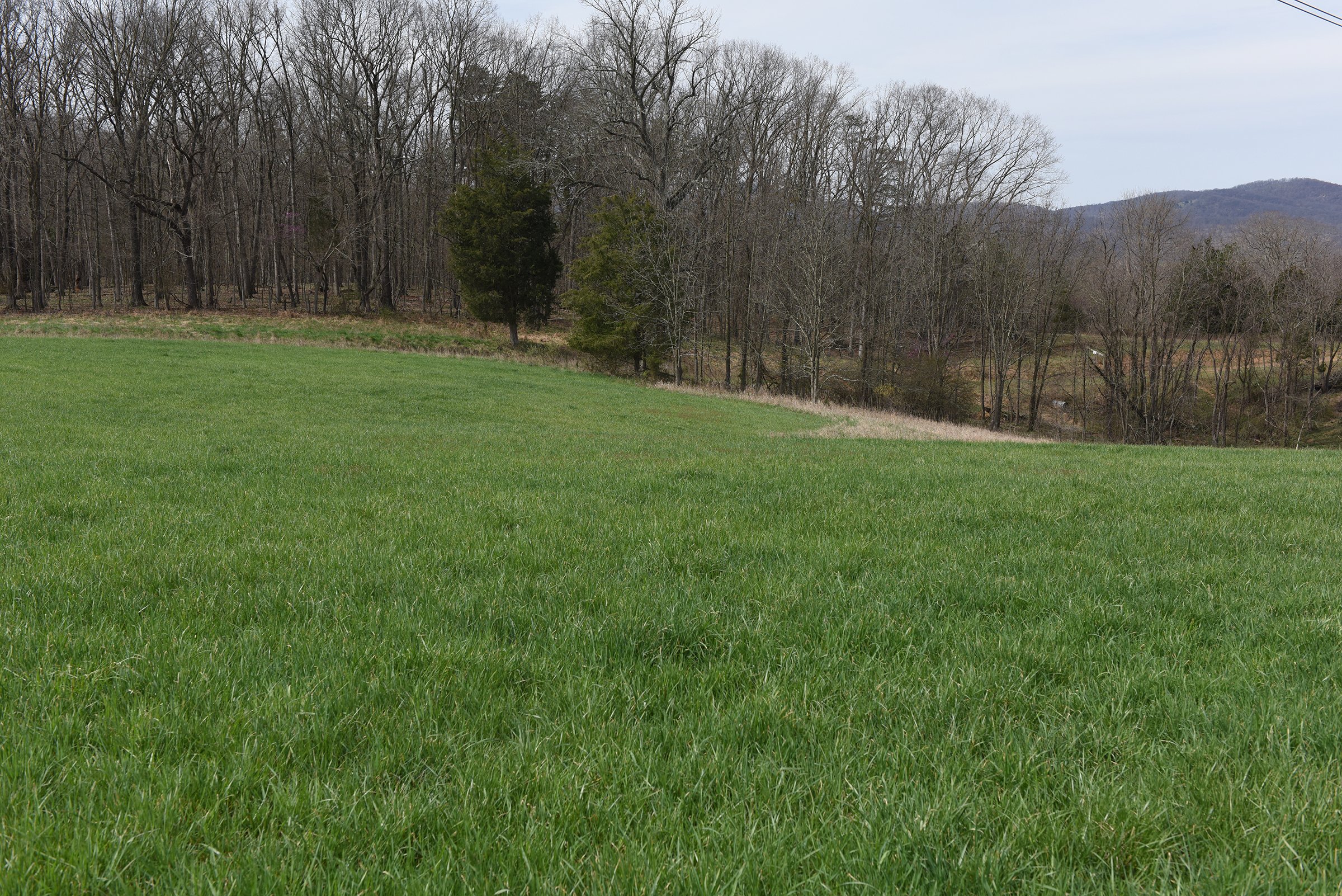 Property photo 55 - LAND AUCTION - 533+/- ACRES OFFERED IN 5 TRACTS IN HARDY COUNTY, WEST VIRGINIA