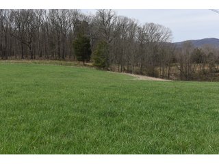 Property photo 55 - LAND AUCTION - 533+/- ACRES OFFERED IN 5 TRACTS IN HARDY COUNTY, WEST VIRGINIA