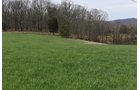 Property photo 55 - LAND AUCTION - 533+/- ACRES OFFERED IN 5 TRACTS IN HARDY COUNTY, WEST VIRGINIA
