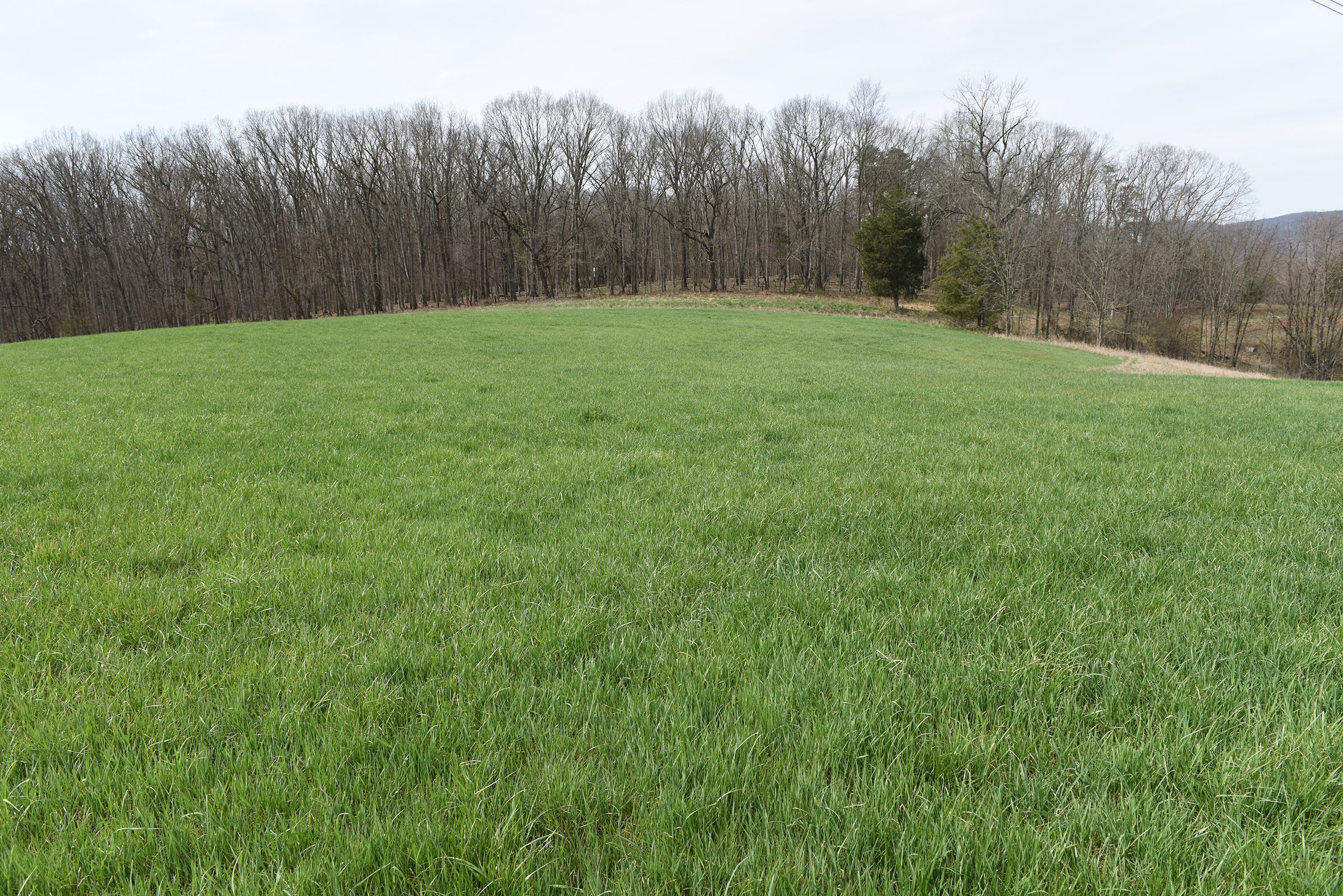 Property photo 72 - LAND AUCTION - 533+/- ACRES OFFERED IN 5 TRACTS IN HARDY COUNTY, WEST VIRGINIA