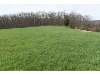 Property photo 72 - LAND AUCTION - 533+/- ACRES OFFERED IN 5 TRACTS IN HARDY COUNTY, WEST VIRGINIA