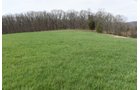 Property photo 72 - LAND AUCTION - 533+/- ACRES OFFERED IN 5 TRACTS IN HARDY COUNTY, WEST VIRGINIA