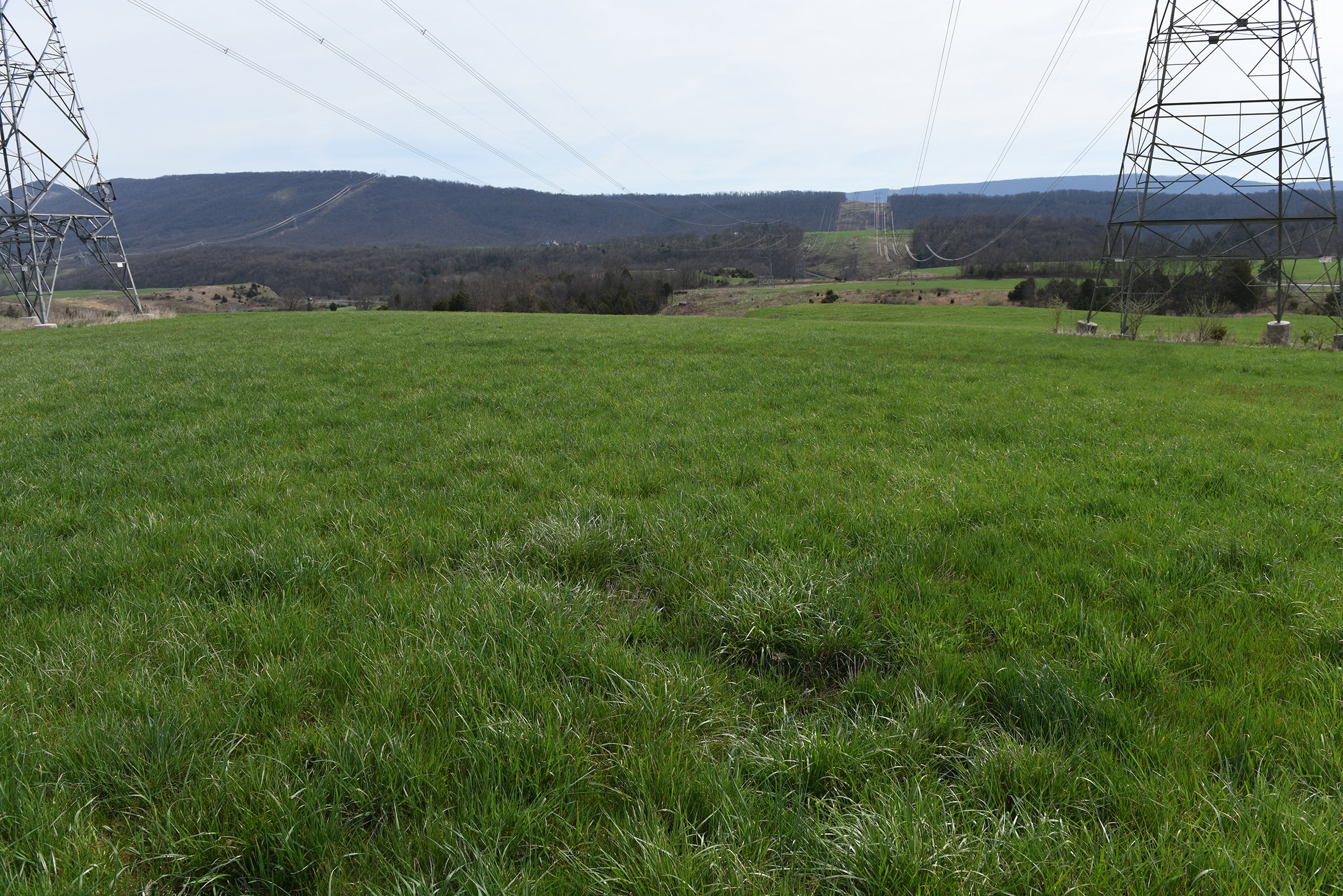 Property photo 67 - LAND AUCTION - 533+/- ACRES OFFERED IN 5 TRACTS IN HARDY COUNTY, WEST VIRGINIA