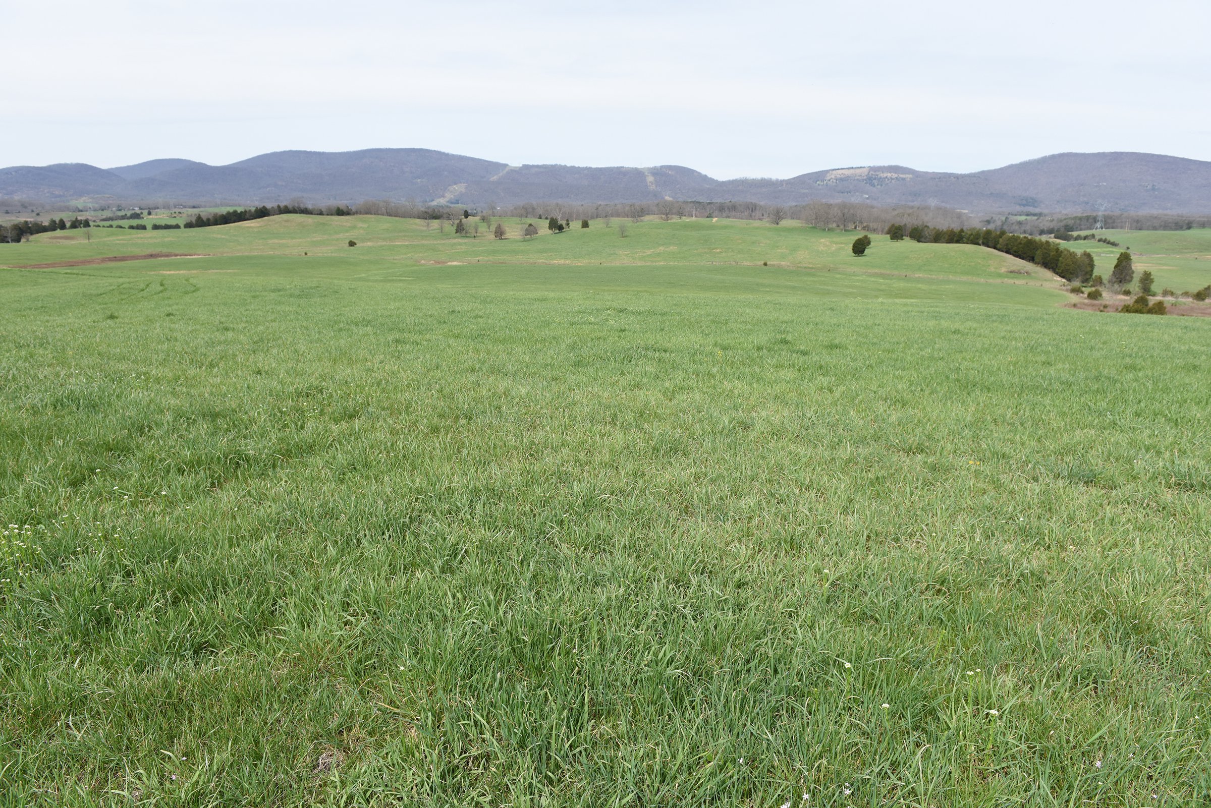 Property photo 48 - LAND AUCTION - 533+/- ACRES OFFERED IN 5 TRACTS IN HARDY COUNTY, WEST VIRGINIA