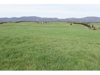 Property photo 48 - LAND AUCTION - 533+/- ACRES OFFERED IN 5 TRACTS IN HARDY COUNTY, WEST VIRGINIA