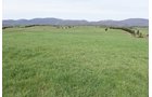 Property photo 48 - LAND AUCTION - 533+/- ACRES OFFERED IN 5 TRACTS IN HARDY COUNTY, WEST VIRGINIA