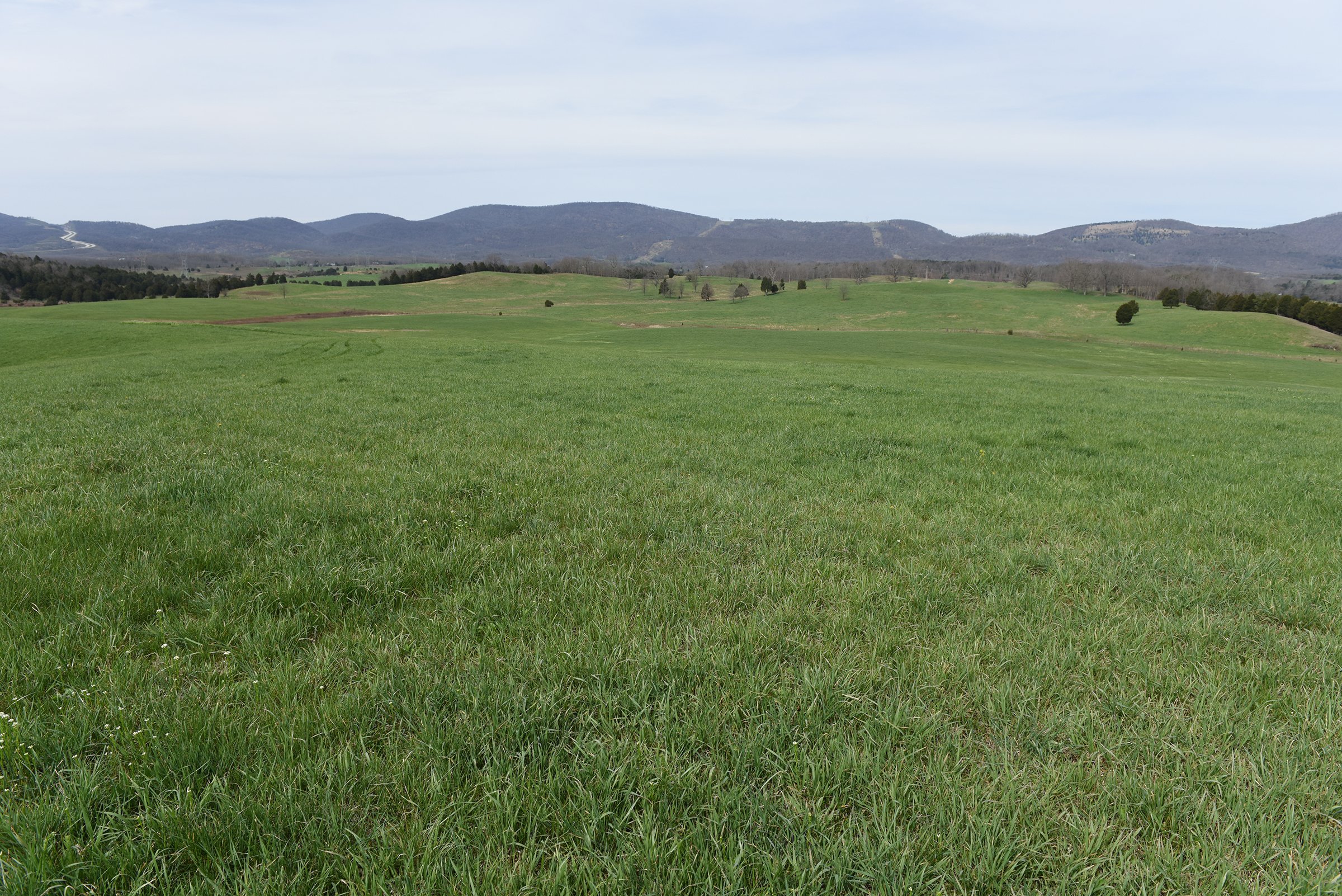 Property photo 69 - LAND AUCTION - 533+/- ACRES OFFERED IN 5 TRACTS IN HARDY COUNTY, WEST VIRGINIA