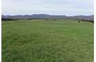 Property photo 69 - LAND AUCTION - 533+/- ACRES OFFERED IN 5 TRACTS IN HARDY COUNTY, WEST VIRGINIA