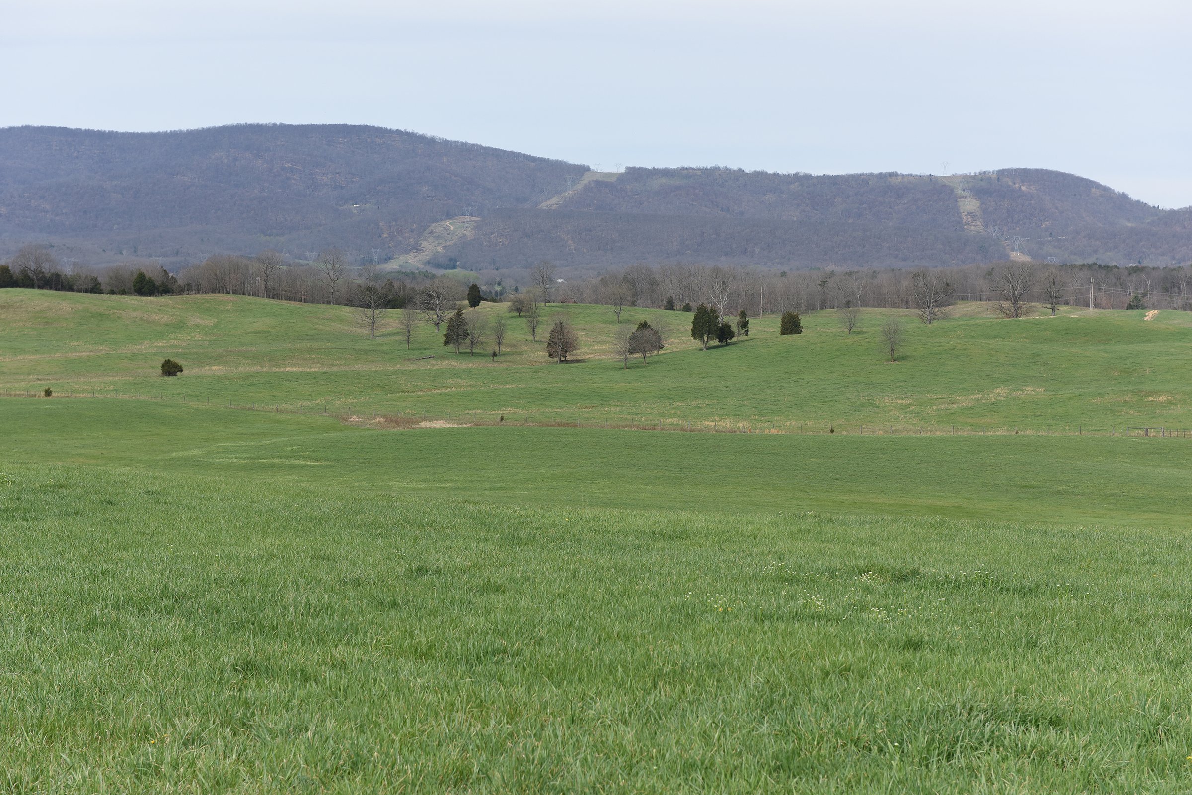 Property photo 57 - LAND AUCTION - 533+/- ACRES OFFERED IN 5 TRACTS IN HARDY COUNTY, WEST VIRGINIA