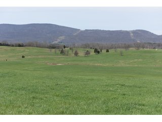 Property photo 57 - LAND AUCTION - 533+/- ACRES OFFERED IN 5 TRACTS IN HARDY COUNTY, WEST VIRGINIA