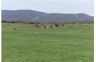 Property photo 57 - LAND AUCTION - 533+/- ACRES OFFERED IN 5 TRACTS IN HARDY COUNTY, WEST VIRGINIA