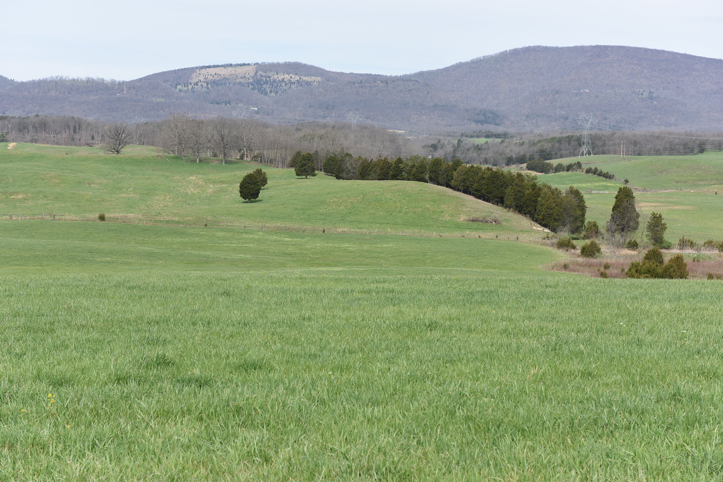 Property photo 58 - LAND AUCTION - 533+/- ACRES OFFERED IN 5 TRACTS IN HARDY COUNTY, WEST VIRGINIA