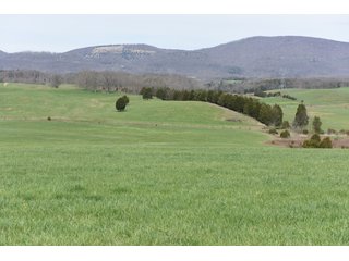 Property photo 58 - LAND AUCTION - 533+/- ACRES OFFERED IN 5 TRACTS IN HARDY COUNTY, WEST VIRGINIA