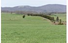 Property photo 58 - LAND AUCTION - 533+/- ACRES OFFERED IN 5 TRACTS IN HARDY COUNTY, WEST VIRGINIA