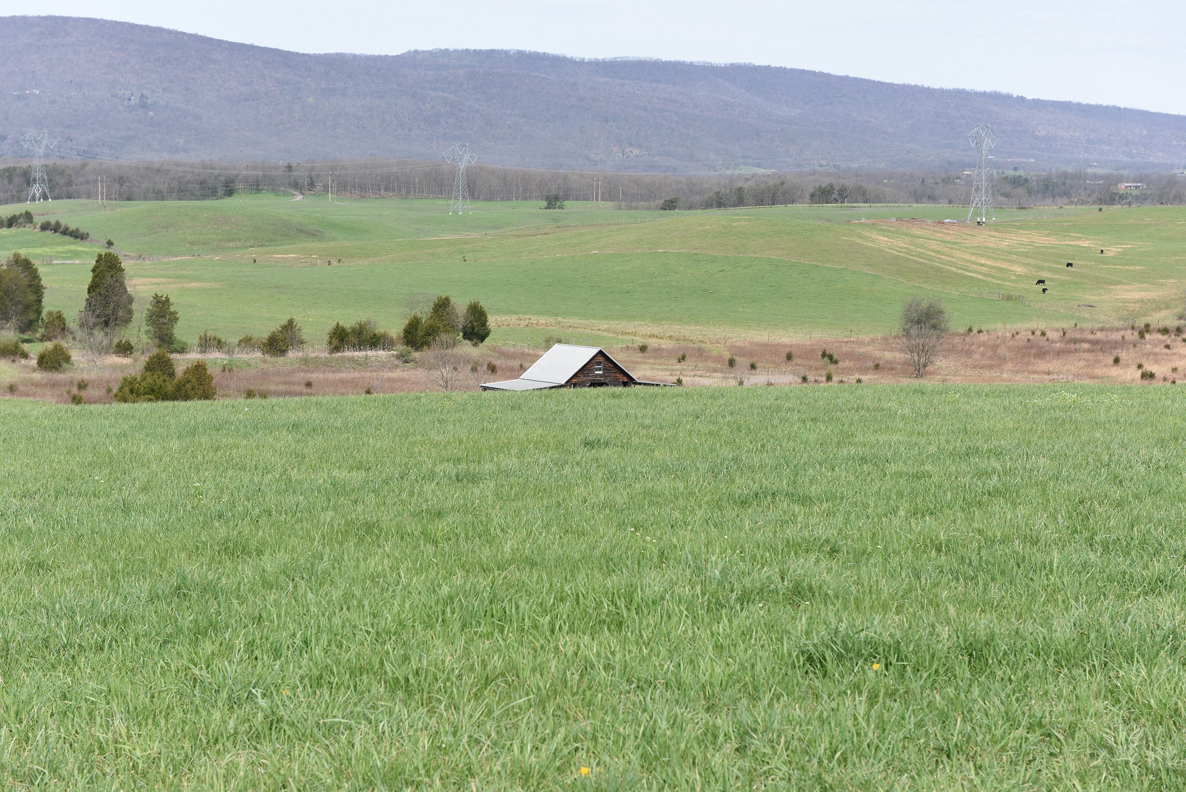 Property photo 44 - LAND AUCTION - 533+/- ACRES OFFERED IN 5 TRACTS IN HARDY COUNTY, WEST VIRGINIA