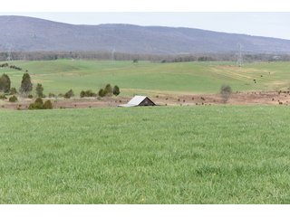Property photo 44 - LAND AUCTION - 533+/- ACRES OFFERED IN 5 TRACTS IN HARDY COUNTY, WEST VIRGINIA